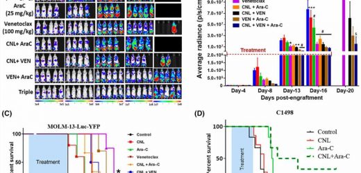 New delivery strategy may improve chemotherapy for acute myeloid leukemia