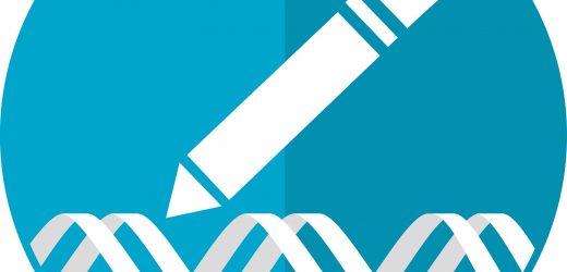 New gene editing strategy could lead to treatments for people born with inherited diseases of the immune system