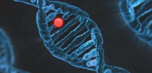 New gene target for aggressive lung cancer discovered