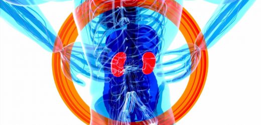 New research provides employment figures of kidney transplant recipients