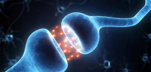 Novel oxytocin derivative can reverse Aβ25-35-induced cognitive impairment in mice
