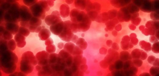 Paying for plasma is the new normal: Why policy has changed decades after Canada’s tainted blood scandal