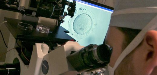 Race gap seen in US infant deaths after fertility treatment