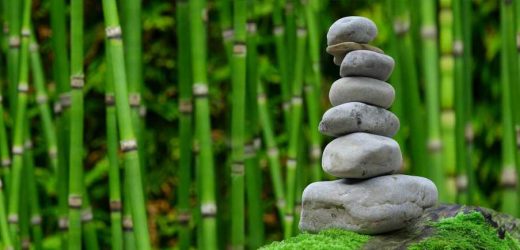 Religiousness, spirituality linked to better heart health among African Americans