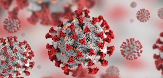 Researchers Find ‘Weak Spot’ on Major SARS-CoV-2 Variants