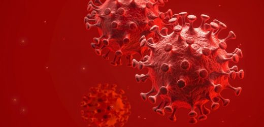 Researchers compare the percent excess mortalities due to the zero-COVID-19 policy or the living-with-COVID policy