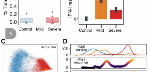 Scientists discover a novel mechanism leading to the inflammatory cytokine storm in COVID-19
