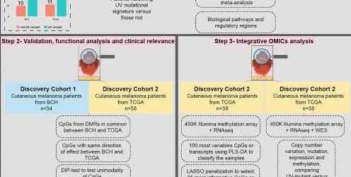 Study maps alterations that make melanoma more severe, could lead to better therapies and diagnosis