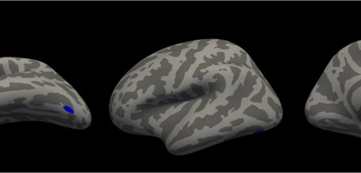 Study of veterans finds PTSD and conditions such as substance misuse associated with a cellular marker for early death
