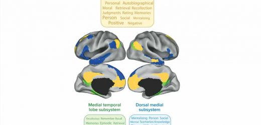 The science of a wandering mind