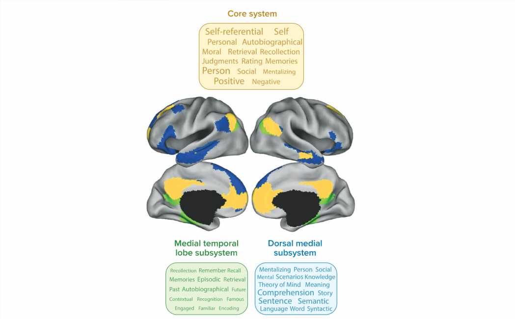 The science of a wandering mind