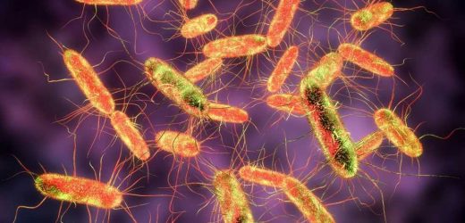 The war in Ukraine and resulting massive population displacement has enhanced epidemic typhus risk
