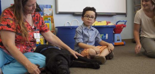 Therapy dogs aren’t always the answer to help children with autism