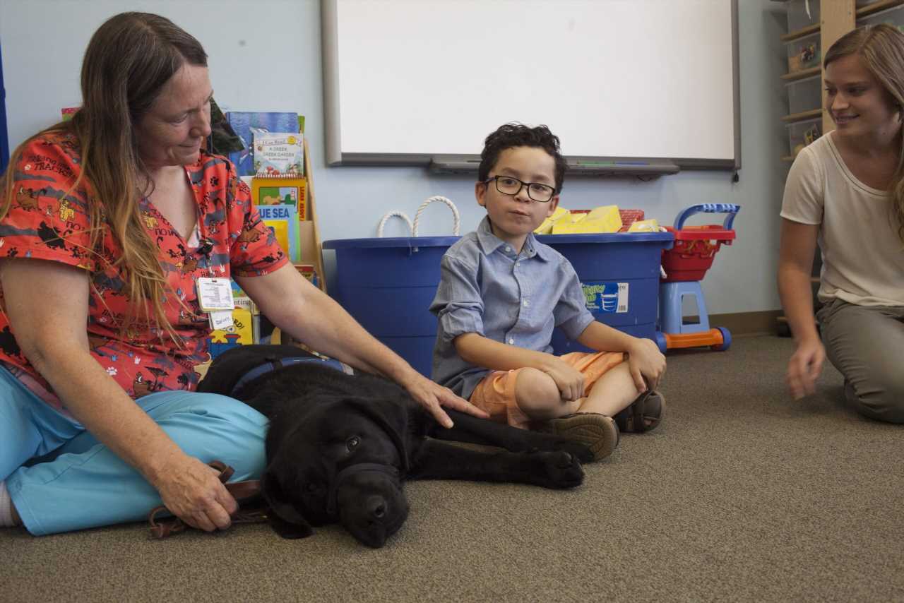 Therapy dogs aren’t always the answer to help children with autism