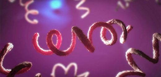 USPSTF: Screen At-Risk, Nonpregnant People for Syphilis