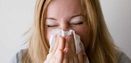 Using fusion proteins to trigger immune cells and suppress allergic processes