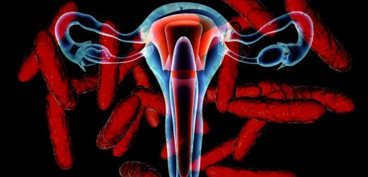 What Role Does the Uterine Microbiome Play in Fertility?