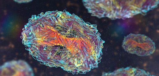 Will monkeypox become a pandemic?