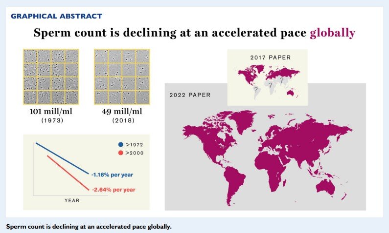 Follow-up study shows significant decline in sperm counts globally, including Latin America, Asia and Africa