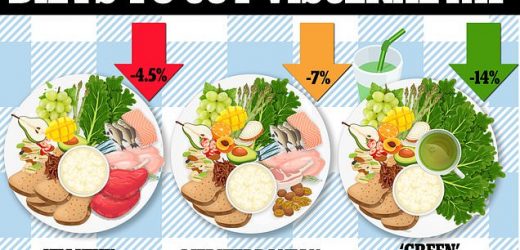 Following &apos;green Mediterranean diet&apos; helps you lose more visceral fat