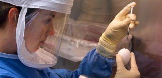 Handheld diagnostic all-in-one lab kit could increase the speed and volume of disease testing
