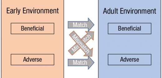 How evolutionary developmental psychology can explain mental disorders