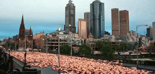 I stripped naked with thousands of strangers and can’t wait to do it again