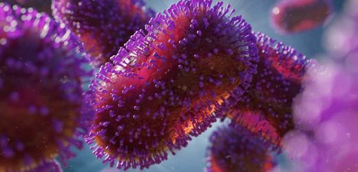 Immunological responses against monkeypox virus concerning the 2022 outbreak