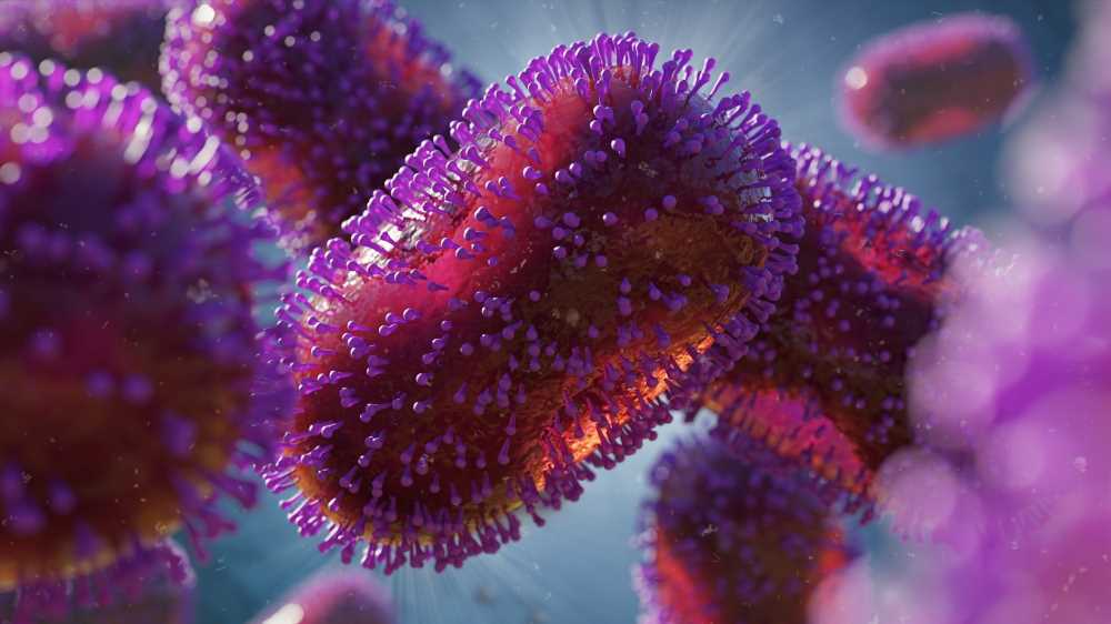 Immunological responses against monkeypox virus concerning the 2022 outbreak