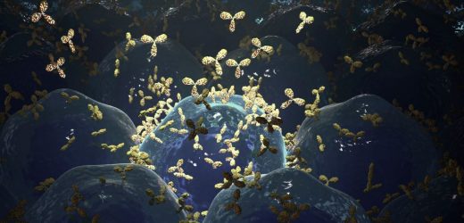 In a 1st, scientists use designer immune cells to send an autoimmune disease into remission