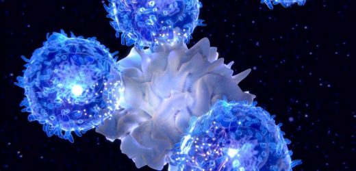 Memory B and T cells responses differ when induced by SARS-CoV-2 infections or booster vaccinations