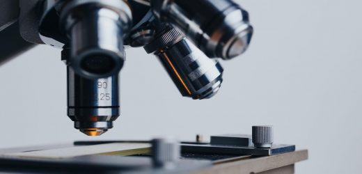 Multi-modal AI models for intermediate- to high-risk localized prostate cancer