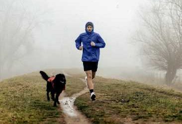 Stroke, heart disease: Morning exercise linked to lowest risk