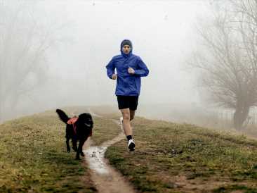 Stroke, heart disease: Morning exercise linked to lowest risk