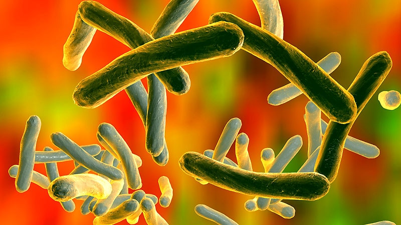 Study Affirms Shorter Regimens for Drug-Resistant Tuberculosis