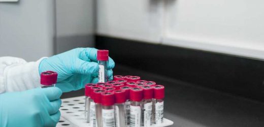 The gut microbiome’s supersized role in shaping molecules in our blood