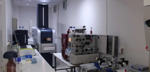 Unique genetic signature found by research in different types of cancer