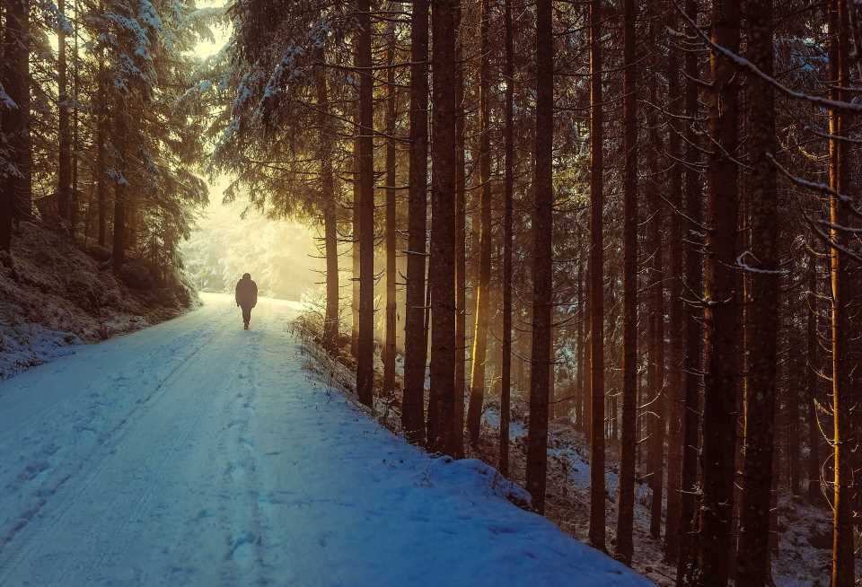 As winter approaches, seasonal depression may set in for millions
