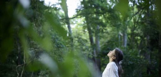 Biophilia exercises are set to be the big new trend in 2023 – but what are they?