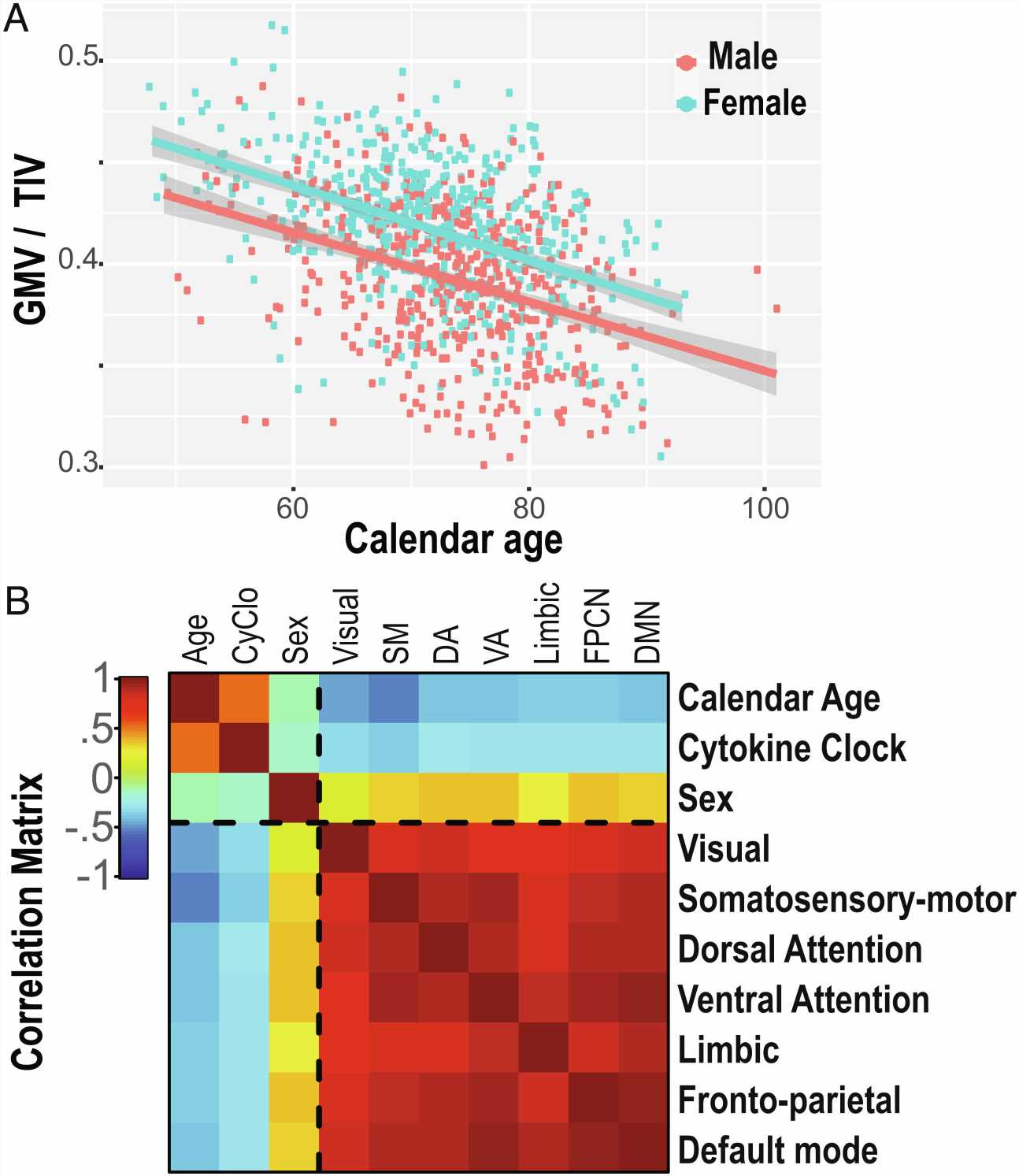 Chronological age, biological age and gender affect the shrinkage of different brain areas