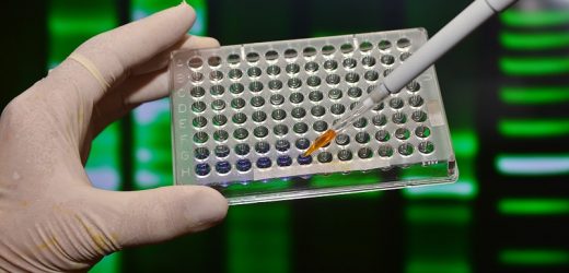 Genetic Test Identifies Parental Source of Cancer Variant