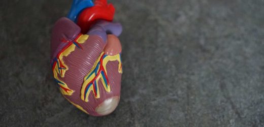 Hearts and bodies change with age, heart disease treatments may need to change, too