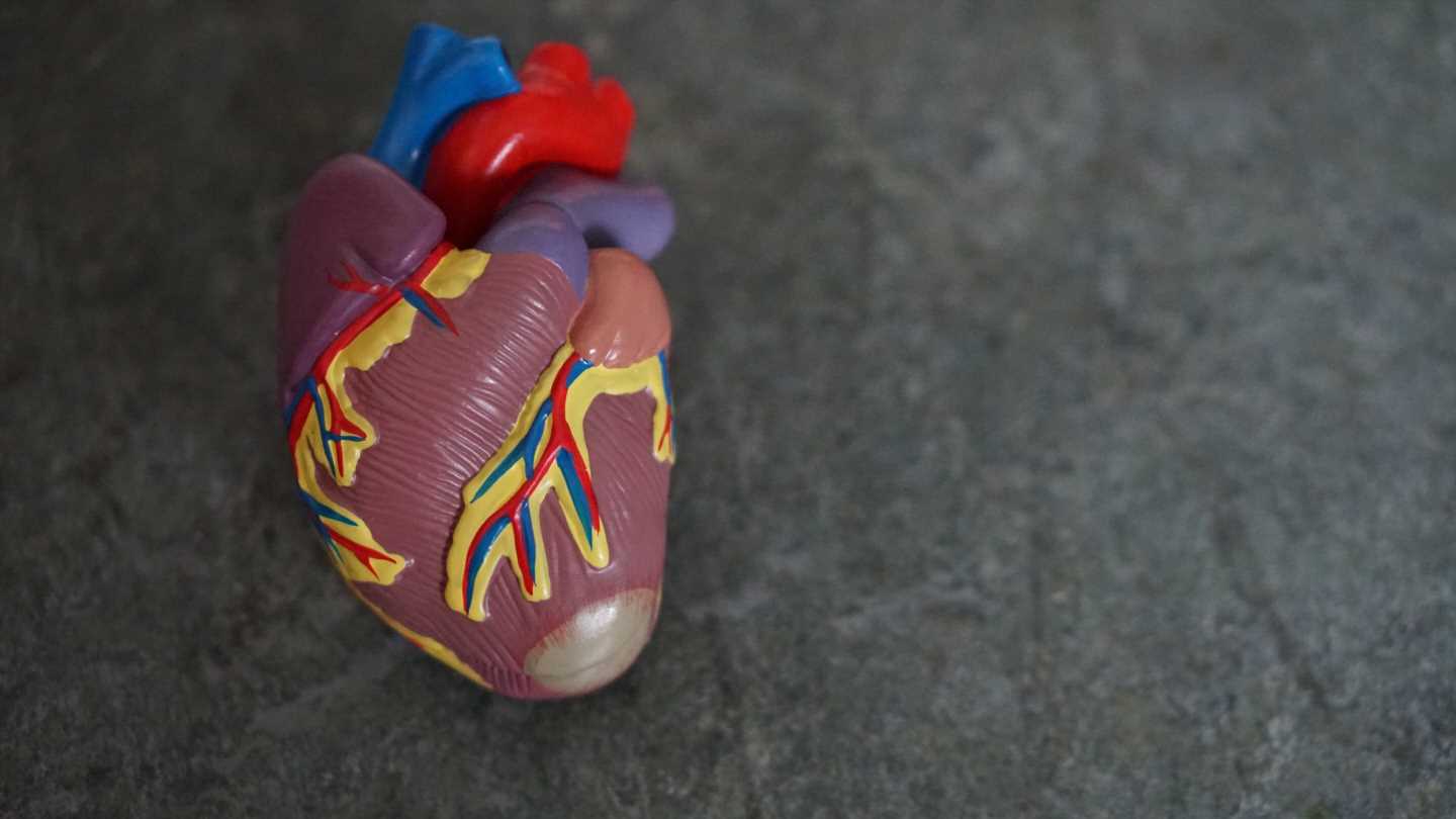 Hearts and bodies change with age, heart disease treatments may need to change, too