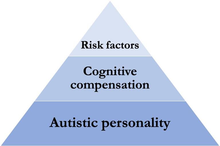 Model provides insight into how autism arises