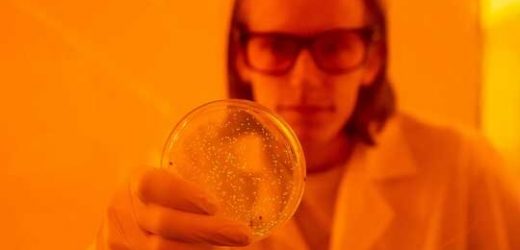 Pathogenic sensor’s surprising capabilities revealed