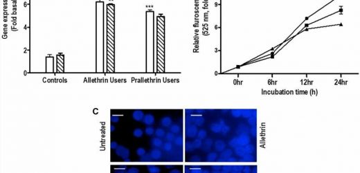 Role of pyrethroid derivatives in autophagy and apoptosis crosstalk signaling and potential risk for malignancies