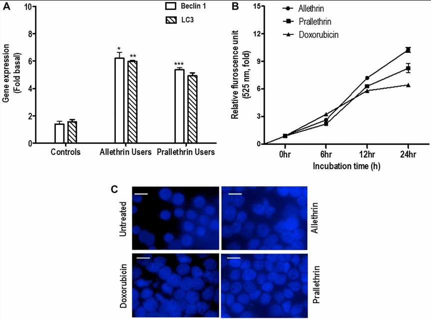 Role of pyrethroid derivatives in autophagy and apoptosis crosstalk signaling and potential risk for malignancies