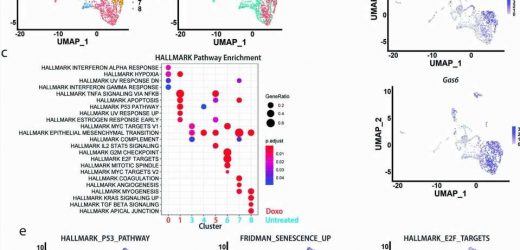 Study reveals why immunotherapies don’t work on hardest-to-treat breast cancers