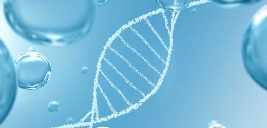 Understanding the vector composition of mRNA filled