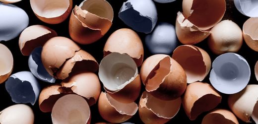 Weight loss: High-protein diet may prevent weight regain after dieting